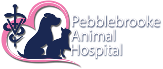 Pebblebrooke Animal Hospital Naples Florida