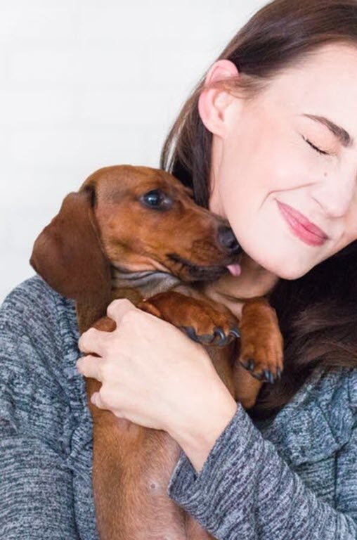 pets & owners 3
